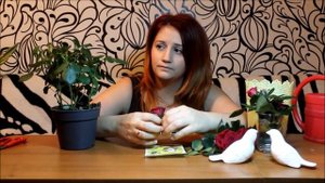 Комнатная роза! Уход и продление ей жизни.