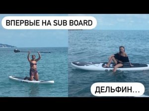 СОЧИ ДОМИК У МОРЯ / ДЕЛЬФИНА ВЫКИНУЛО НА ПЛЯЖ