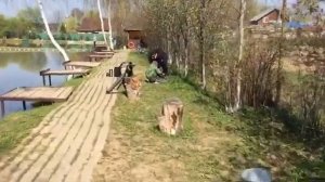 Ловля форели на херабуну. РК Фишка Липки.