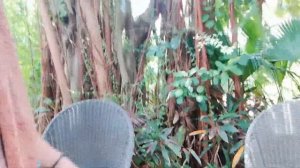 Хайнань. Термальные источники Банлин