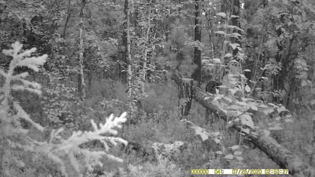 птички тоже любят соль смотреть онлайн