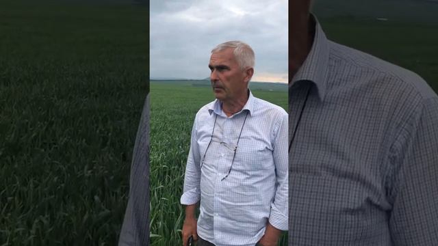 1-я обработка Деструктором смотреть онлайн