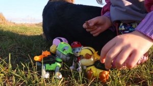 Щенячий патруль в горах спасает Гонщика.