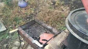 Почему куры не несутся в осенний период?