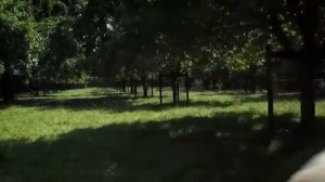 Прикольная Немецкая песня про животных развеет Вашу тоску!)))