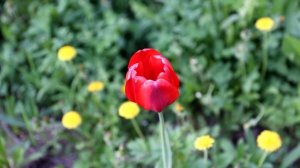 Бурение артезианских скважин в Рязани и соседних областях