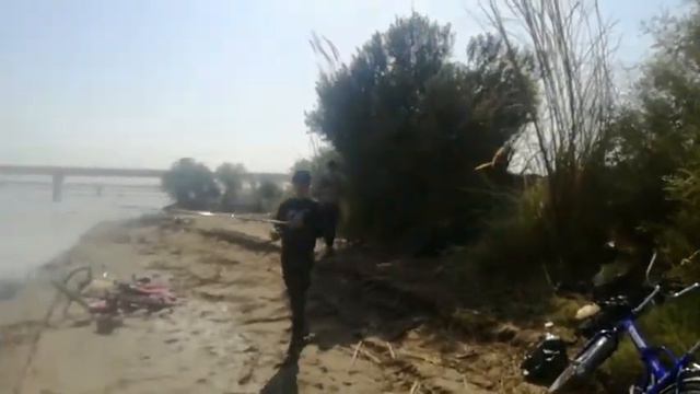 ПОЙМАЛИ СОМА В АМУДАРЬЕ