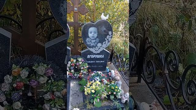 Домодедово участок 260 часть 6