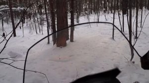 Снегоход BRP Skandic SWT 600ACE