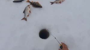 РЫБАЛКА НА СЕВЕРЕ ВЕСНОЙ 2023