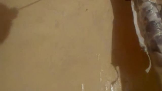 Кабан смотреть онлайн