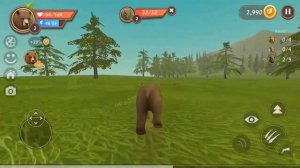 ИГРАЮ ЗА МЕДВЕДЯ В WildCraft /Идель и Ирдан Play / WildCraft