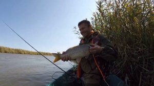 Сазан на макуху осенью !