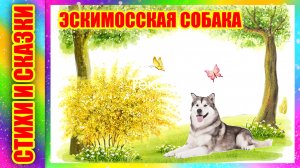 Короткий стишок Эскимосская собака С. Маршак