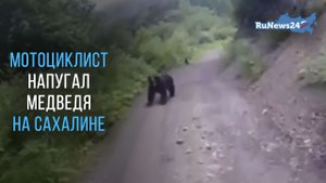 Мотоциклист напугал медведя на Сахалине