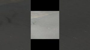 видос про жизнь)