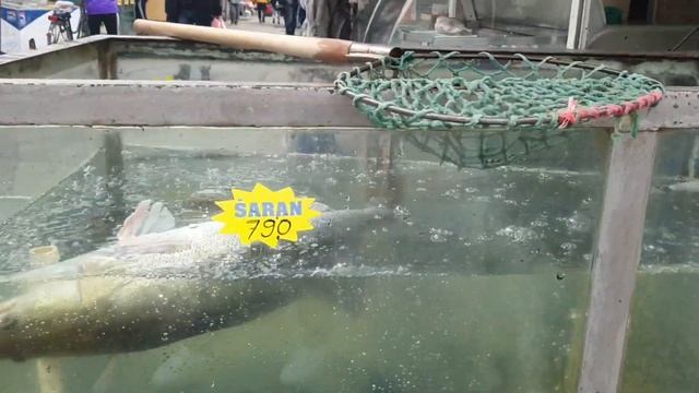 VLOG/РЫНОК В СЕРБИИ 2022/ЦЕНЫ НА ПРОДУКТЫ #рыноквсербии #сербия #русскиевсербии #serbia #ценывсерби смотреть онлайн