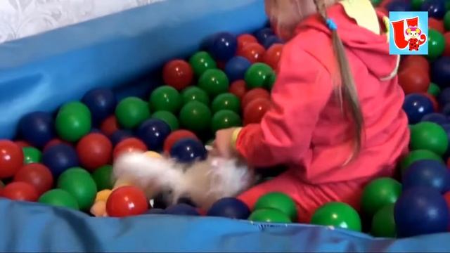 ❤Илошка❤ Прятки игрушек в сухом бассейне. Кто их найдёт? Прыжки в шарики. смотреть онлайн