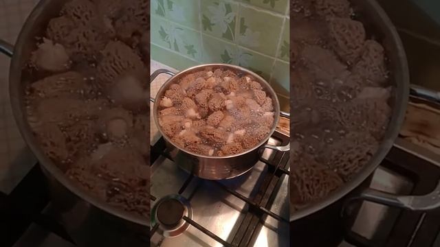 #ГрибСморчок Сбор грибов сморчков. Приготовление грибов сморчков. Рецепт грибов сморчков.
