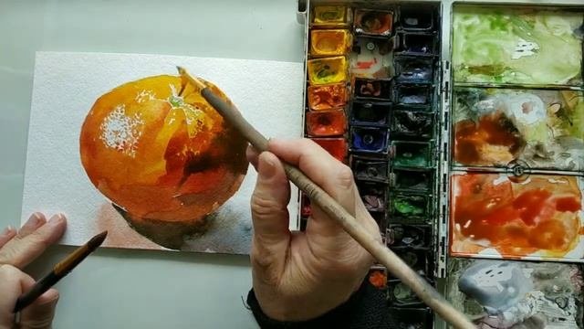 Грейпфрут.Акварель.