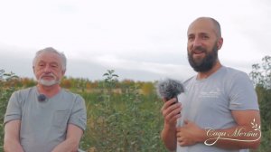 Абрикосовый сад и питомник саженцев в поле с нуля своими руками