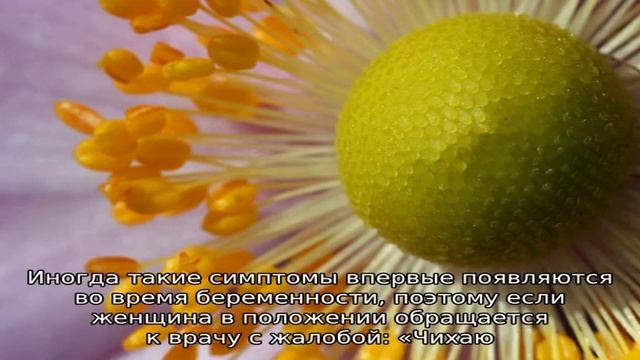 Симптомы и лечение чихания при аллергии