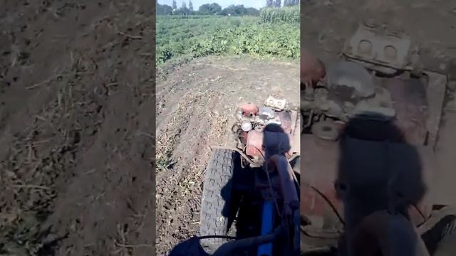 Мотоблок МТЗ 05 с самодельной сеялкой смотреть онлайн