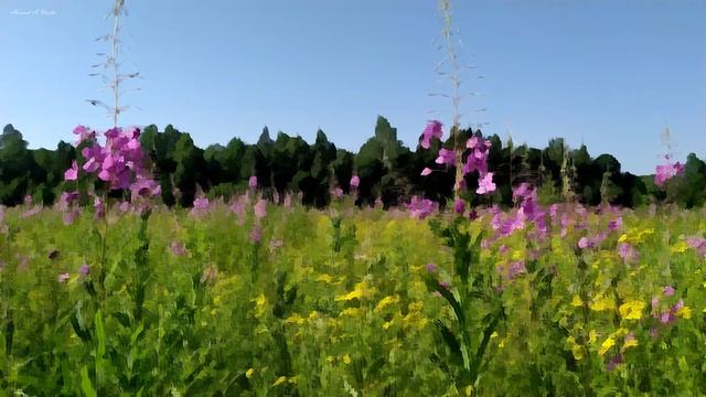 Полевые цветы. Созерцая природу. Импрессионизм