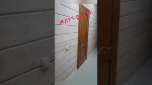 Дом- гостиница в хвойном лесу у реки Мста, д.Прилуки ( Новгородская область )