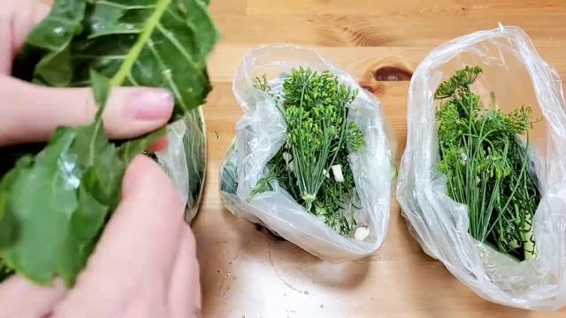 Малосольные огурцы в пакете. Быстрый рецепт
