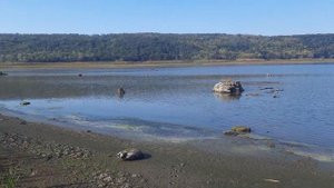 Оскільске водосховище ,,Оскольское водохранилище,, берег
