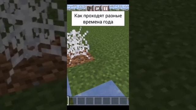 Как проходят разные времена года #minecraft #shorts смотреть онлайн