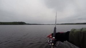 Ловля щуки в коряжниках Чебоксарского водохранилища на Shaker 3.25 Lunker City 1 (027)