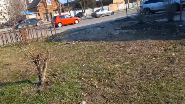 Путь дальнобойщицы:из заснеженной Риги в весенний Краснодар.