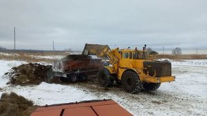Кировец К 744р1 К 744р3 с прицепом 2птс11 вывоз перегноя в поле.К 701 на погрузке.