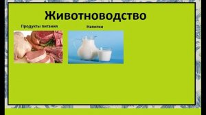 №2 Животноводство Окружающий мир 3 класс.Продукты животноводства