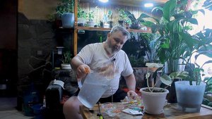 ПОДГОТОВИТЬ ВОДУ для полива цветов, ДОБАВЬ две ТАБЛЕТКИ и КИСЛОТНОСТЬ воды станет 5.5