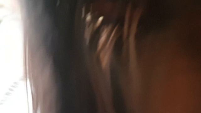 Папильон рычит смотреть онлайн