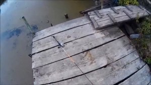 Рыбалка в Калининграде и области //// полесский канал