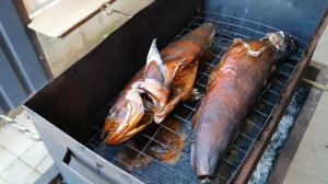 Терпуг горячего копчения