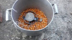 Самая эффективная отрава для крыс!!!