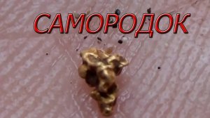 КАК НАЙТИ ЗОЛОТО В РУЧЬЕ! Весь процесс от начала до конца!