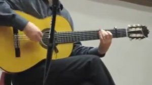 Flamenco Guitar - Taranto - Traditional