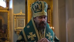 Митрополит Иларион Алфеев об отставке: Дорога сделала крутой поворот, я в него не вписался