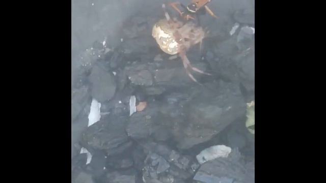 Когда хотел поесть, а съели тебя!
