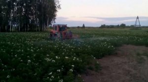 подкормка картофеля
