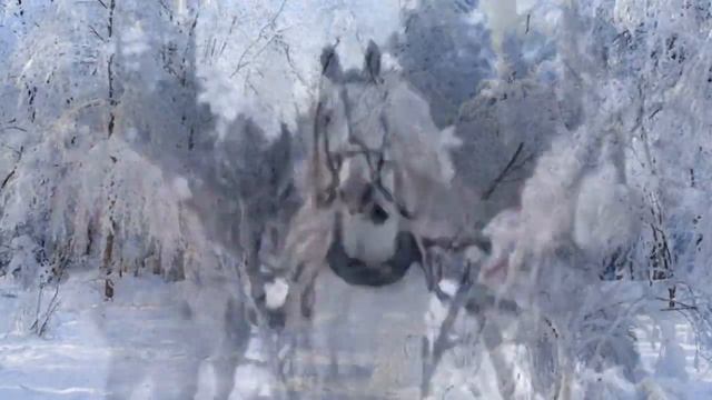 ЗИМУШКА-ЗИМА (сл. Галины Макеевой, муз. Ю. Старцева, видео Анфисы Сербиной) смотреть онлайн