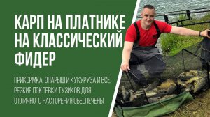 Ловля карпа на классический фидер