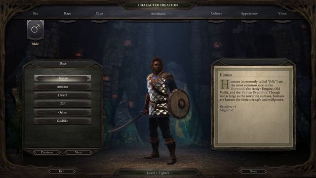 Pillars of Eternity - 2023 Beginner Guide (Attributes, Skills, Classes & More) смотреть онлайн