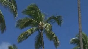 Русское рэгги  группа Республика Jah – "Сахар Кубы" клип на композицию о Кубе